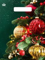 Пакет вырубная ручка 300х230х0,030 Новогодний ПВД /100/3000