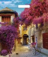 Пакет вырубная ручка 450х380х0,060 ламин Итальянский дворик /50/500