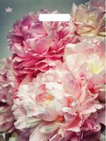 Пакет вырубная ручка 400х310х0,060 ламин Нежные  пионы /50/500