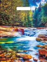 Пакет вырубная ручка 400х310х0,060 ламин Живописный водопад /50/500