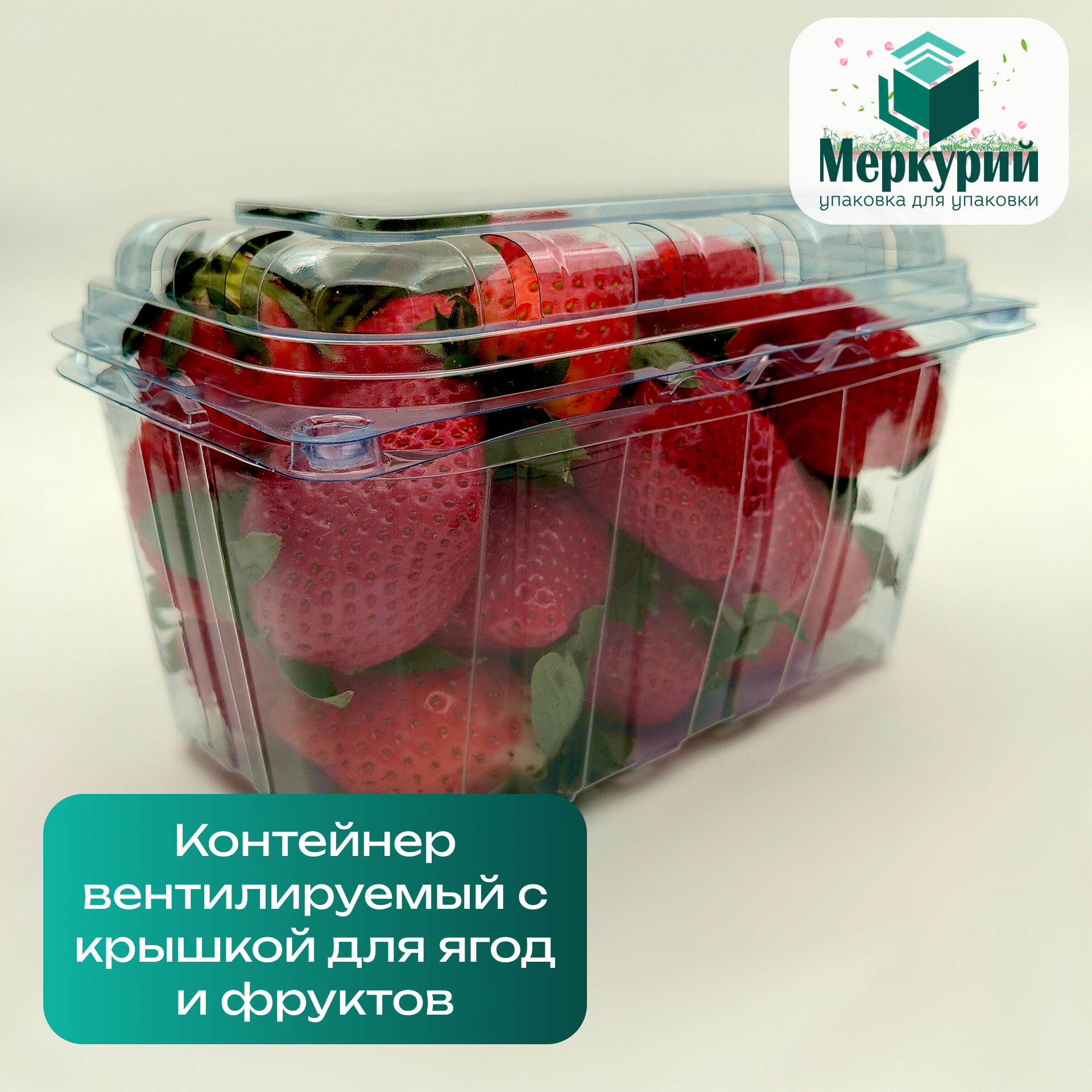 Новая упаковка для ягод, фруктов и овощей