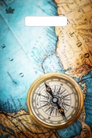 Пакет вырубная ручка 300х200х0,030 Компас ПВД /100/3000