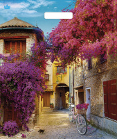 Пакет вырубная ручка 450х380х0,060 ламин Итальянский дворик /50/500