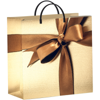 Пакет-сумка мягкая пласт ручка 300х300х0,140 Подарочный /40