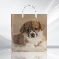 Пакет-сумка пласт ручка 350х360х0,085 Мой дружок ПВД /10/100