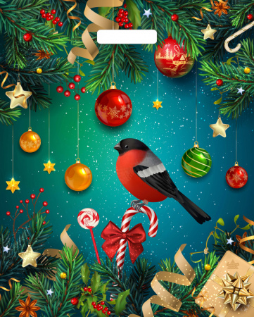 Пакет вырубная ручка 475х390х0,060 Праздничный снегирь ПВД /50/500