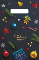 Пакет вырубная ручка 300х200х0,030 Новогодний стиль ПВД /100/3000