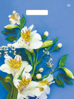 Пакет вырубная ручка 400х310х0,060 Лилия белоснежная ПВД /50/500