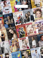 Пакет вырубная ручка 400х310х0,030 Паблик ПВД /50/1300