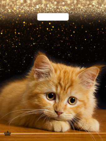 Пакет вырубная ручка 400х310х0,060 Рыжий пушистик ПВД /50/500