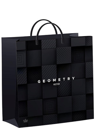 Пакет-сумка мягкая пласт ручка 300х300х0,140 Вектор геометрии /40