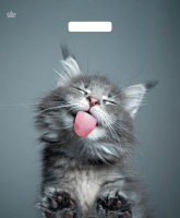 Пакет вырубная ручка 450х380х0,060 ламин Кот /50/500