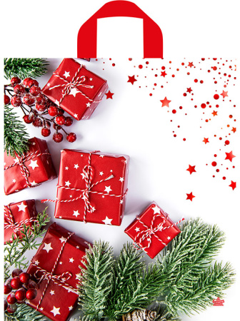 Пакет петлевая ручка 420x380х0,037 Время подарков ПНД 50/300