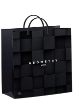 Пакет-сумка мягкая пласт ручка 300х300х0,140 Вектор геометрии /40