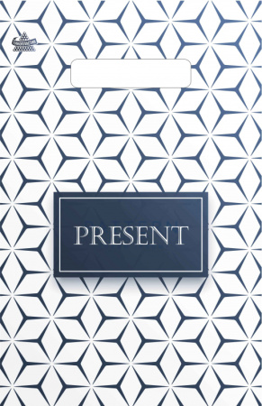 Пакет вырубная ручка 300х200х0,030 Презент стиль  ПВД /100/3000