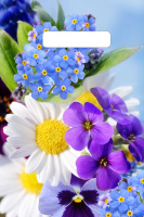 Пакет вырубная ручка 190х250х0,030 Яркое лето ПВД /100/3000