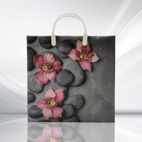 Пакет-сумка мягкая пласт ручка 300х300х0,140 Гармония природы  /40