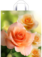 Пакет петлевая ручка 420x380x0,037 Утренняя роза ПНД /50/300