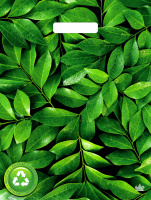 Пакет вырубная ручка 400х310х0,060 ламин Грин дэй /50/500