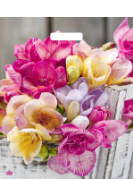 Пакет вырубная ручка 450х380х0,060 Цветочная симфония ПВД /50/500