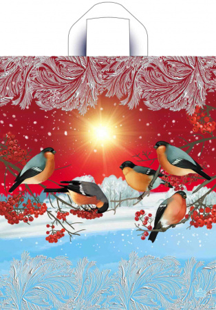 Пакет петлевая ручка 435х380х0,035 Пернатые гости ПВД /50/500