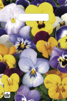 Пакет вырубная ручка 300х200х0,030 Анютины глазки ПВД /100/3000