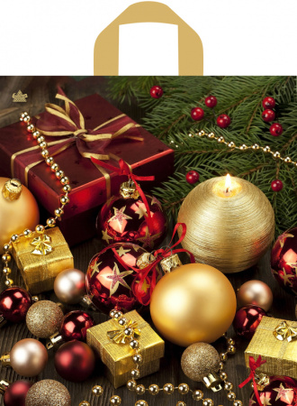 Пакет петлевая ручка 420х380х0,037 Подарочный пакет ПНД /50/300