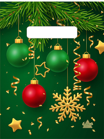 Пакет вырубная ручка 190х250х0,030 Золотая снежинка ПВД /100/3000