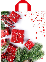 Пакет петлевая ручка 420x380х0,037 Время подарков ПНД 50/300