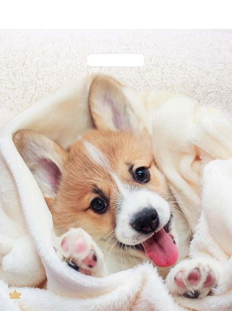 Пакет вырубная ручка 450х380х0,060 ламин Малыш Веня /50/500