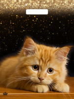 Пакет вырубная ручка 400х310х0,060 Рыжий пушистик ПВД /50/500