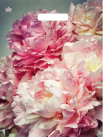 Пакет вырубная ручка 400х310х0,060 ламин Нежные  пионы /50/500