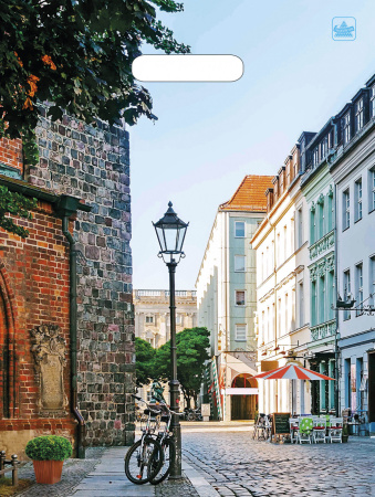 Пакет вырубная ручка 400х310х0,060 Улица ПВД /50/500