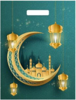 Пакет вырубная ручка 400х310х0,030 Ураза Байрам ПВД /50/1300