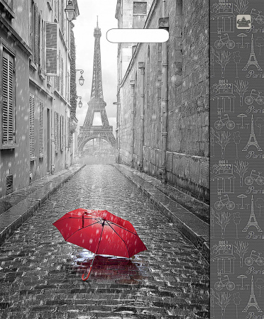 Пакет вырубная ручка 450х380х0,060 ламин Мой Париж /50/500