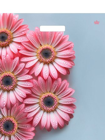 Пакет вырубная ручка 450х380х0,060 ламин Герберы Шанис /50/500