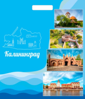 Пакет вырубная ручка 400х310х0,060 Синие волны ПВД /50/500