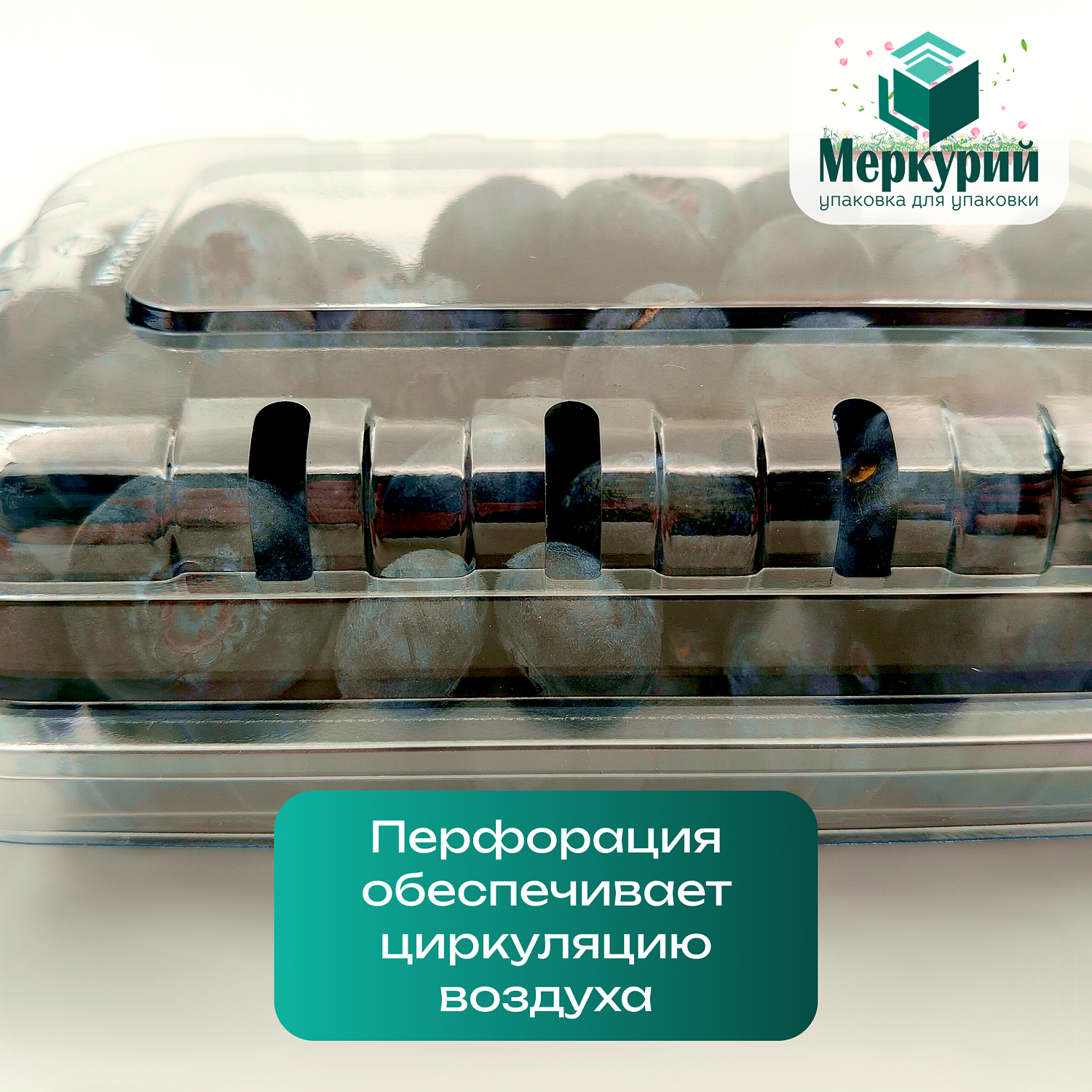 Новая упаковка для ягод, фруктов и овощей