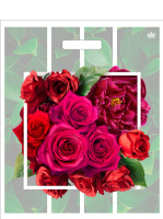 Пакет вырубная ручка 450х380х0,060 ламин Розарий /50/500