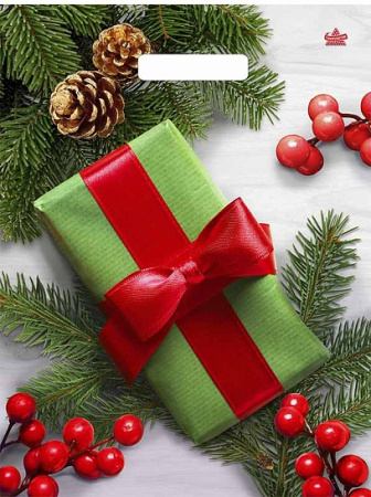 Пакет вырубная ручка 400х310х0,060 ламин Калина в подарок /50/500