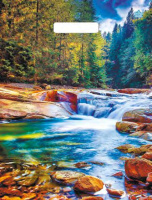 Пакет вырубная ручка 400х310х0,060 ламин Живописный водопад /50/500