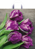 Пакет петлевая ручка 435х380х0,035 Прекрасные тюльпаны ПВД /50/500