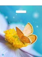 Пакет вырубная ручка 450х380х0,060  Мгновения ПВД /50/500