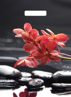 Пакет вырубная ручка 400х310х0,060 ламин Гармония /50/500