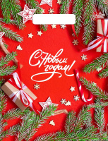 Пакет вырубная ручка 300х230х0,030 Цвет Нового года ПВД /100/3000